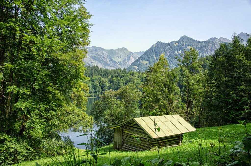 森の小屋